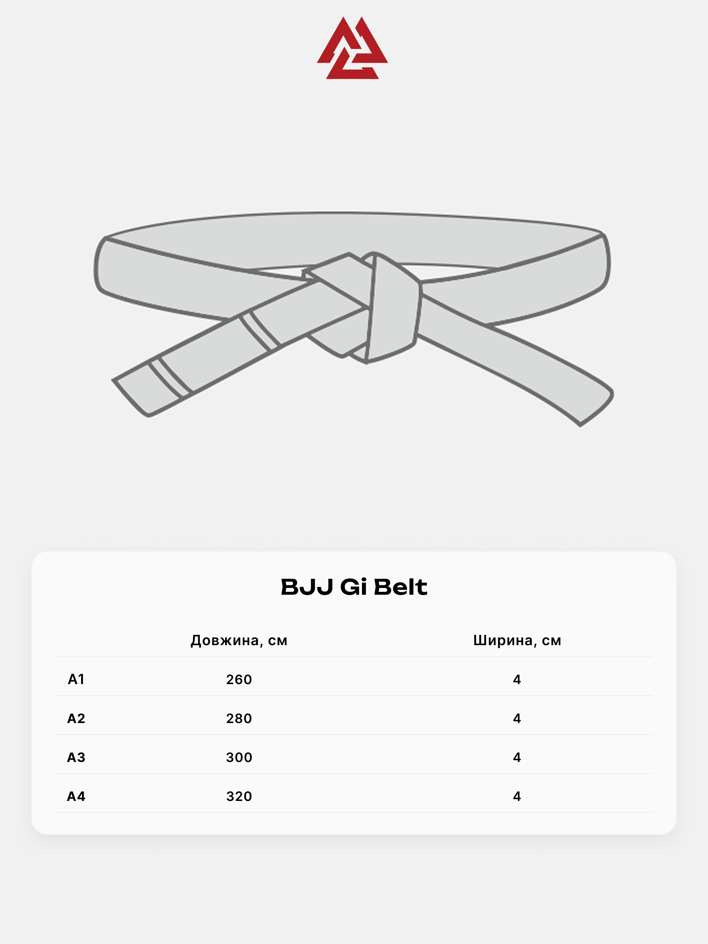 The Rising Sun Premium BJJ Belt Blue, Фото № 7