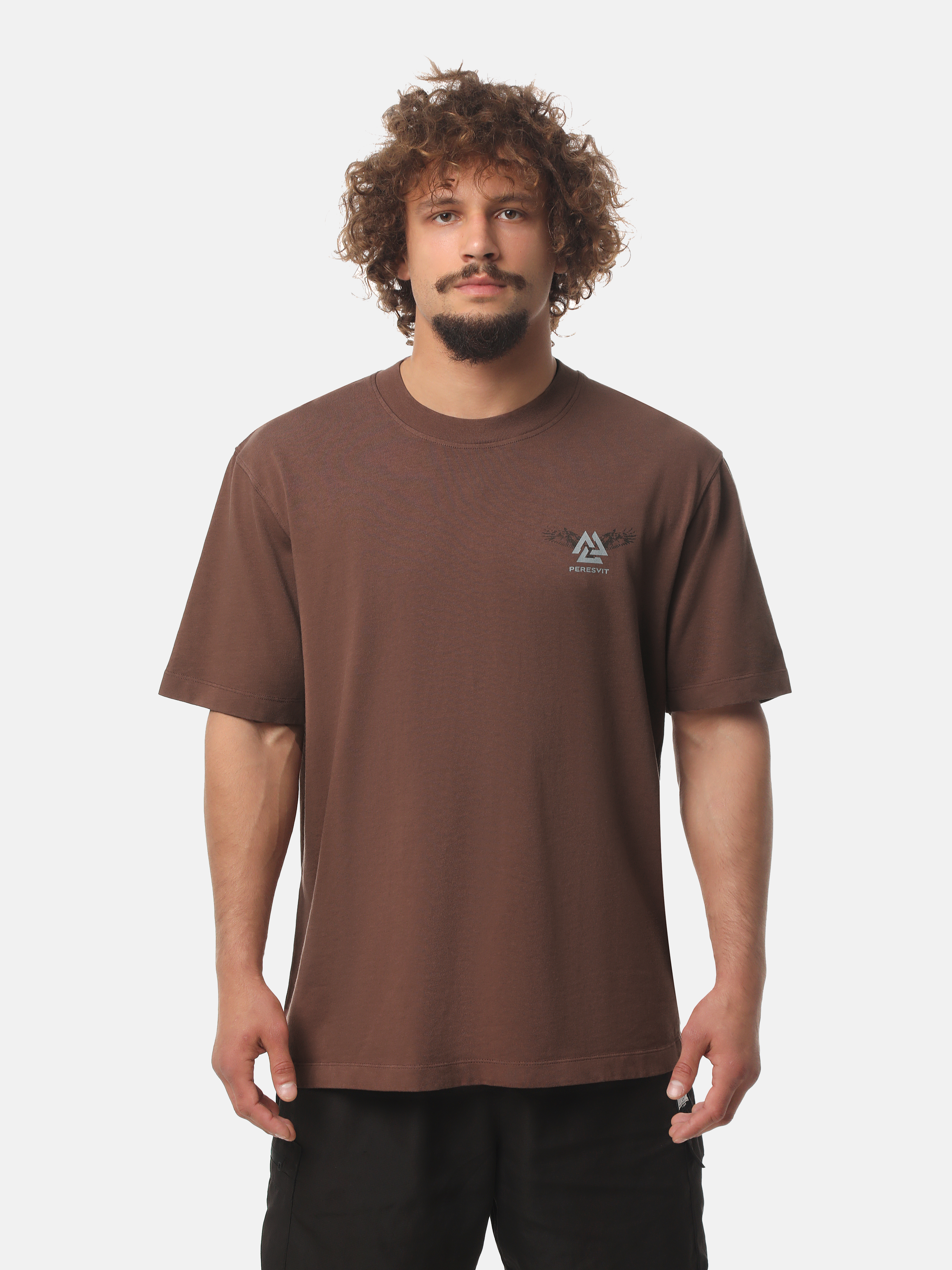 Футболка Peresvit Oversized Sacred Tree T-shirt Light Brown, Фото № 2